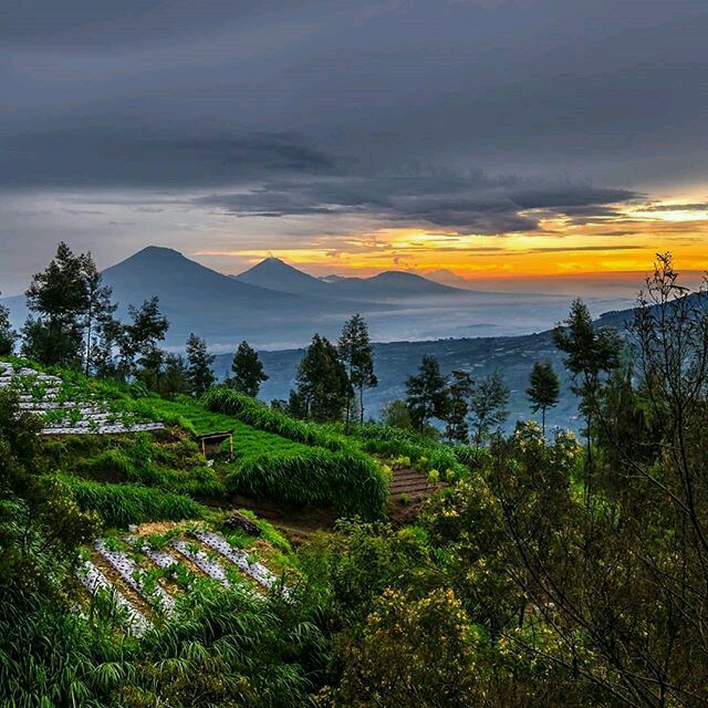 Gunung Sumbing