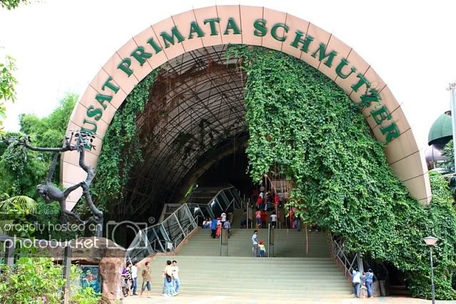 Pusat Primata schmutzer ragunan