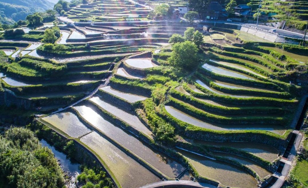 Melumat Pesona Shodoshima, Pulau Penghasil Kecap di Jepang