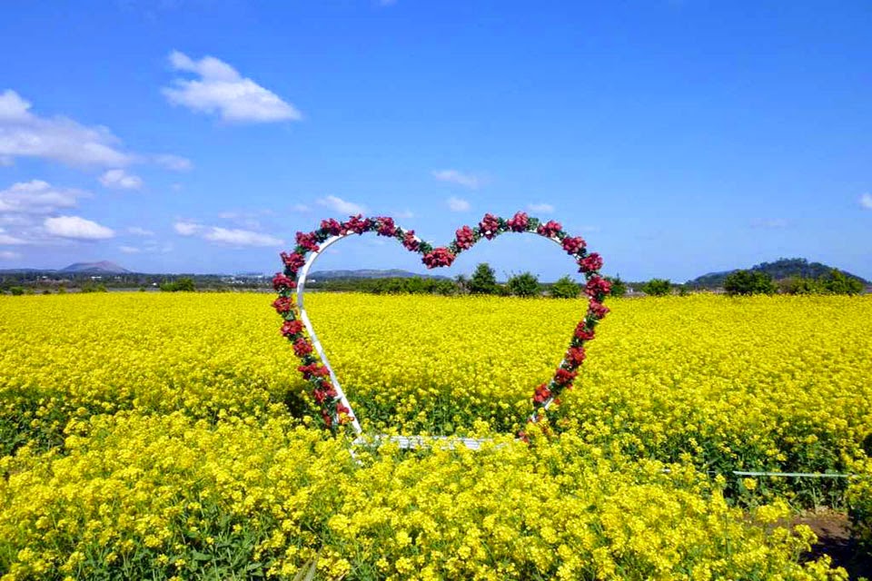 Pulau Jeju