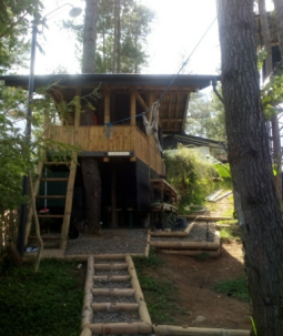 Ghitari Coffe Plantation