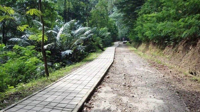 Penangkaran rusa
