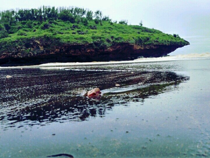 Refleksi bukit karang di Pantai Ngiriboyo (dokumentasi pribadi)