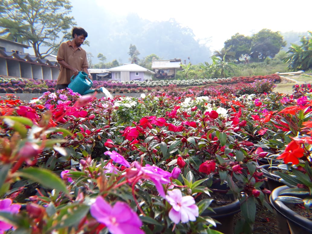 Hotspring Pariban, Pemandian Alam Terbaik di Tanah Karo