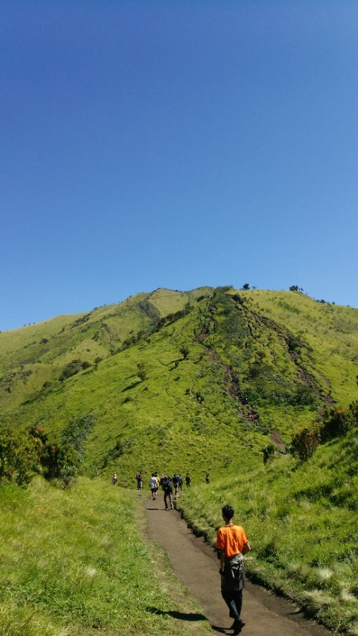 Menepi Sejenak dari Kota Dimanja Gurihnya Sabana Merbabu via Selo