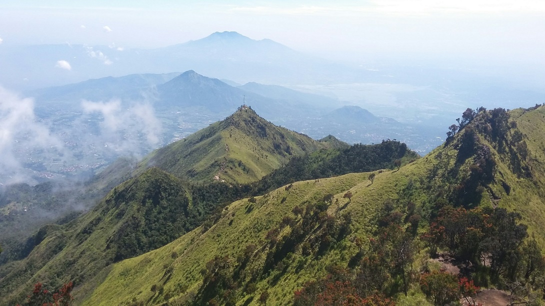 Menepi Sejenak dari Kota Dimanja Gurihnya Sabana Merbabu via Selo