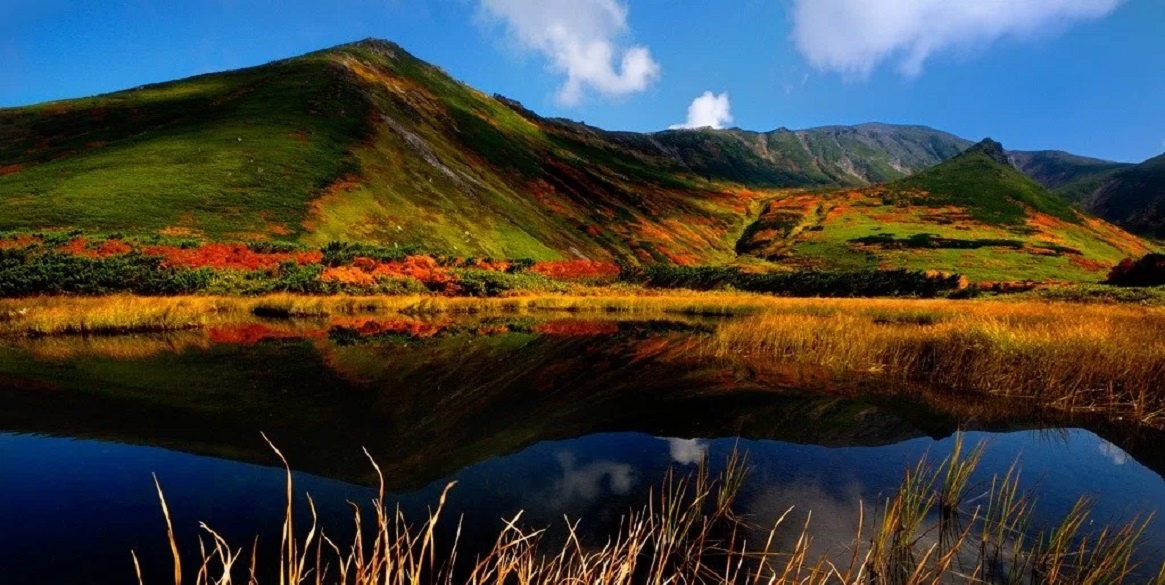 Ini 5 Destinasi Ramah Wisatawan Muslim di Jepang