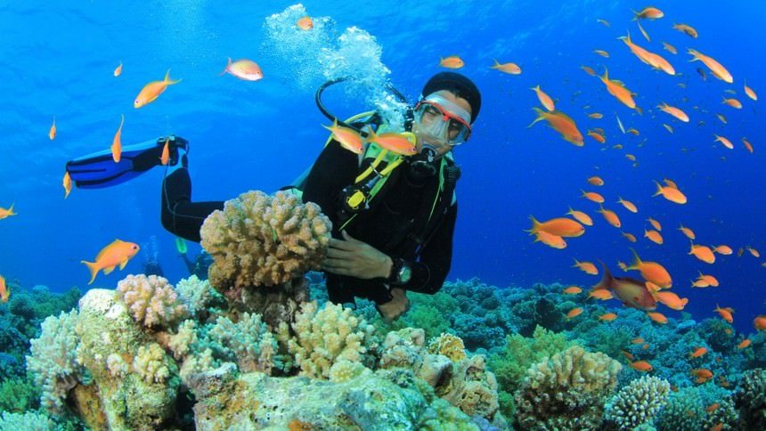 Taman Nasional Teluk CendrawasihTaman Nasional Teluk Cendrawasih