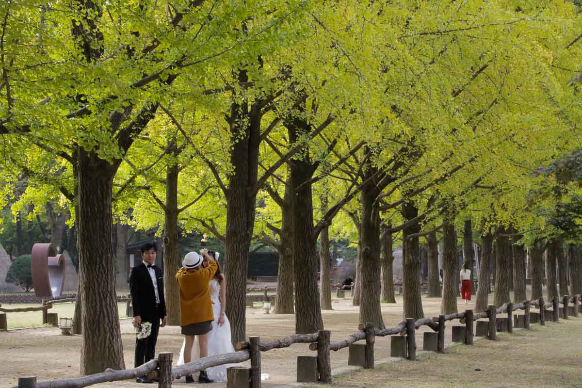 Nami Island