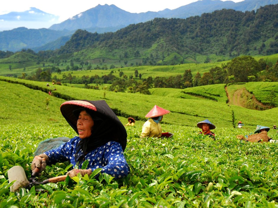 5 Destinasi Wisata Probolinggo Yang Lagi Ramai Dikunjungi