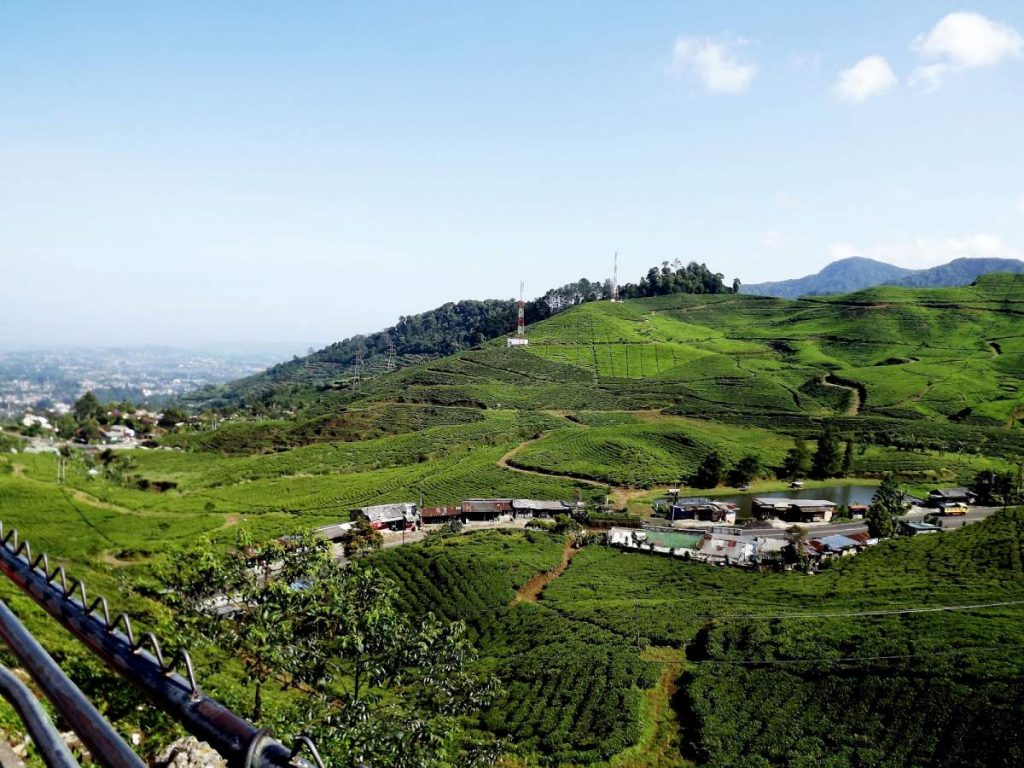 Pemandangan Puncak Bogor